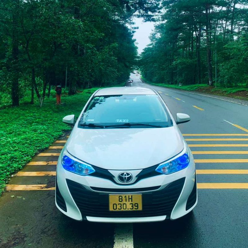 hành nghề lái taxi