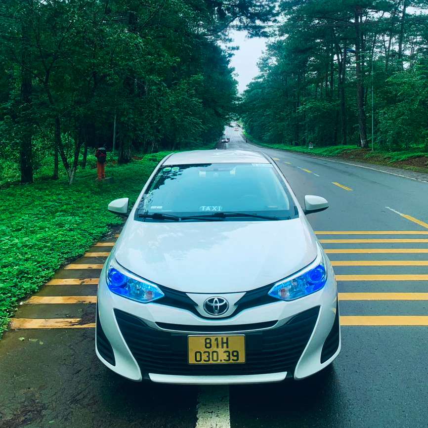 hành nghề lái taxi