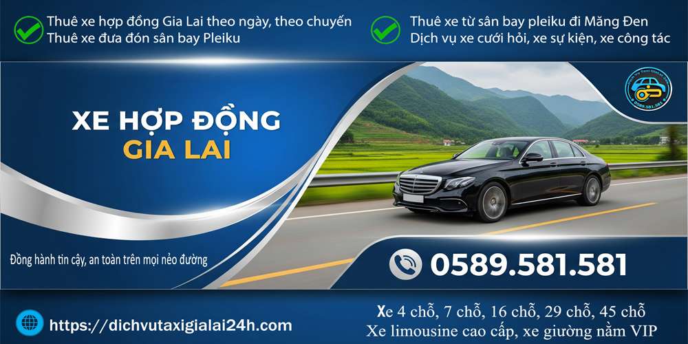 xe hợp đồng pleiku